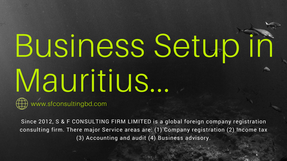 <img src="image/Business-Setup-Mauritius.png" alt="Business Setup Mauritius"/>